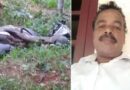 ഉപ്പയും മകളും സഞ്ചരിച്ച സ്കൂട്ടർ താഴ്ചയിലേക്ക് മറിഞ്ഞു, ഉപ്പ മരിച്ചു; ബന്ധുവീട്ടിലേക്കുള്ള യാത്ര ദുരന്തമായി