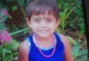 സ്കൂൾ പ്രവേശനത്തിന് കാത്തിരിക്കവേ നൊമ്പരമായി നാലര വയസുകാരി, കളിച്ചുകൊണ്ടിരിക്കെ ഓടയിൽ വീണ് മരിച്ചു