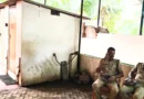 ആശുപത്രിയിലെ ശുചിമുറി ബക്കറ്റിൽ നവജാതശിശുവിന്റെ മൃതദേഹം; മാതാവ് കസ്റ്റഡിയിൽ ആശുപത്രിയിലെ ശുചിമുറി ബക്കറ്റിൽ നവജാതശിശുവിന്റെ മൃതദേഹം; മാതാവ് കസ്റ്റഡിയിൽ