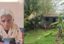വയോധികയെ കൊന്ന് കുഴിച്ചുമൂടി; മൂക്കുത്തി മോഷ്ടിക്കാനെന്ന് പ്രതികള് വയോധികയെ കൊന്ന് കുഴിച്ചുമൂടി; മൂക്കുത്തി മോഷ്ടിക്കാനെന്ന് പ്രതികള്