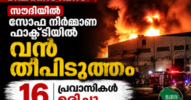 സൗദിയിൽ സോഫ നിർമ്മാണ ഫാക്ടറിയിൽ വൻ തീപിടുത്തം; 16 പ്രവാസികൾ മരിച്ചു സൗദിയിൽ സോഫ നിർമ്മാണ ഫാക്ടറിയിൽ വൻ തീപിടുത്തം; 16 പ്രവാസികൾ മരിച്ചു