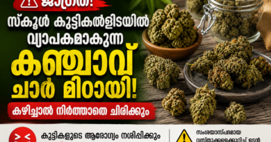 സ്കൂൾ കുട്ടികൾക്കിടയിൽ വ്യാപകമാകുന്ന കഞ്ചാവ് ചാറ് മിഠായി; കഴിച്ചാൽ നിർത്താതെ ചിരിക്കും സ്കൂൾ കുട്ടികൾക്കിടയിൽ വ്യാപകമാകുന്ന കഞ്ചാവ് ചാറ് മിഠായി; കഴിച്ചാൽ നിർത്താതെ ചിരിക്കും