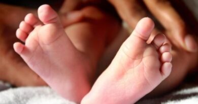 വാടക ഗർഭധാരണം ബിസിനസ്; രണ്ട് മാസം തൊട്ട് പ്രായമുള്ള കുഞ്ഞുങ്ങള്‍ക്ക് പീഡനം; അറസ്റ്റ്