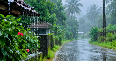 സംസ്ഥാന വ്യാപകമായി അതിശക്തമായ മഴയ്ക്ക് സാധ്യത
