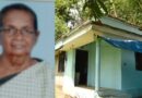 അമ്മയെ പരിചരിച്ചു മടുത്തു; തലയിണകൊണ്ട് ശ്വാസം മുട്ടിച്ച് കൊലപ്പെടുത്തി മകൻ